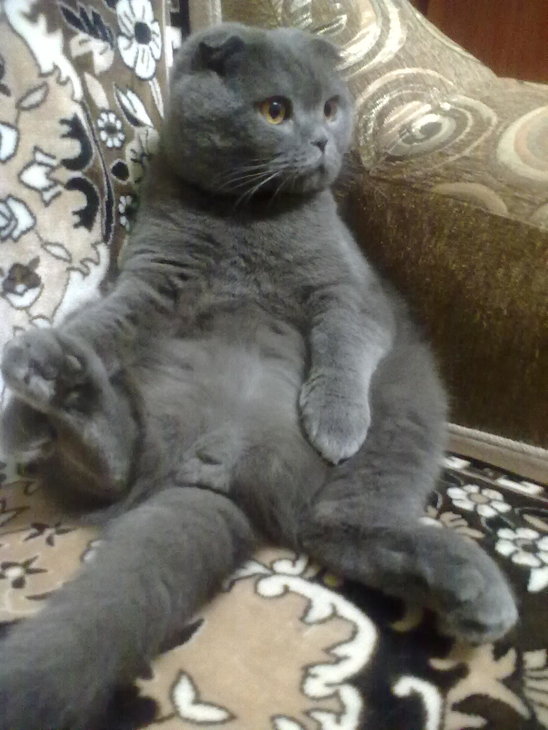 08042012042.jpg