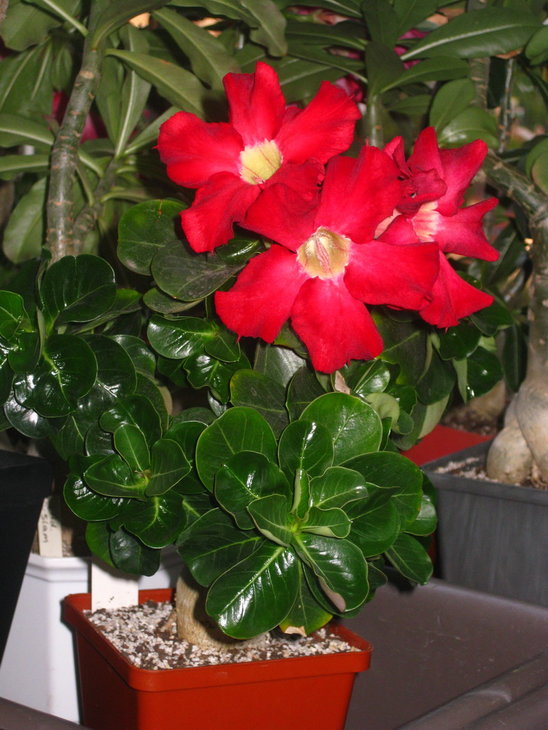 0 IMG_9876.jpg