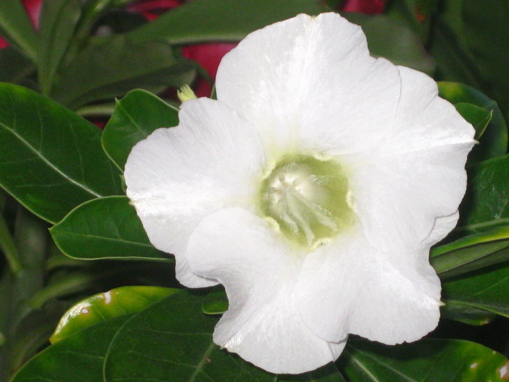 0 IMG_9885.jpg