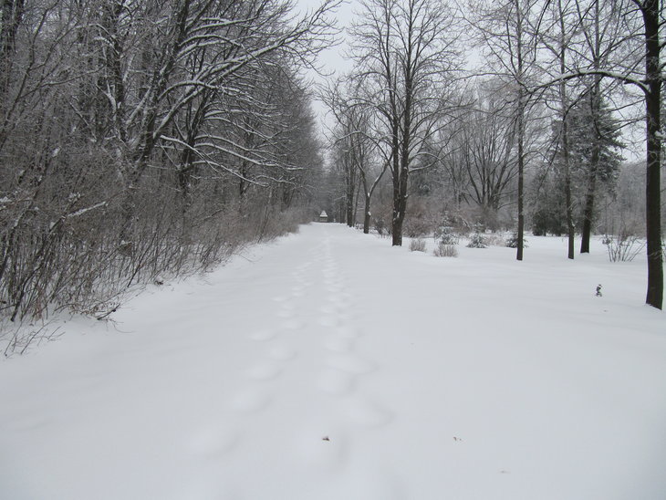 IMG_5711.JPG