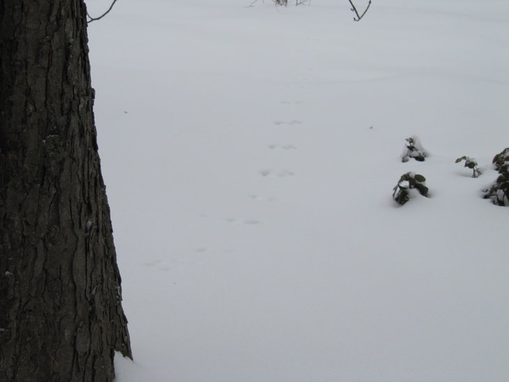 IMG_5718.JPG