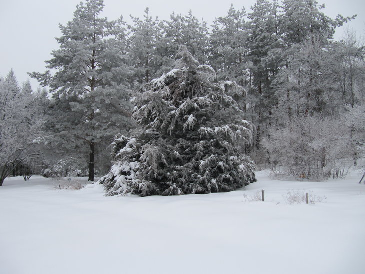 IMG_5790.JPG