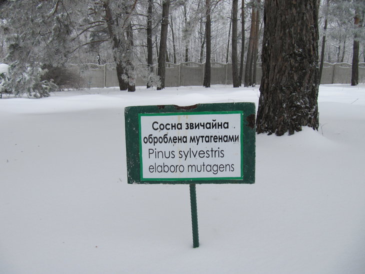 IMG_5794.JPG