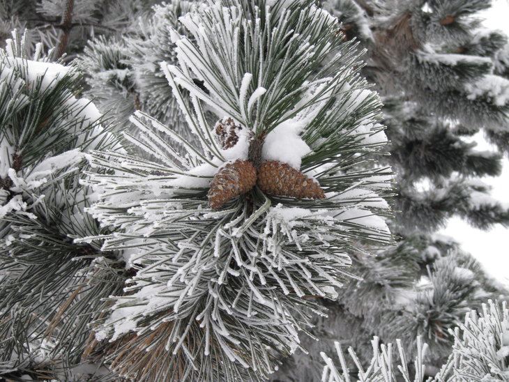 IMG_5754.JPG