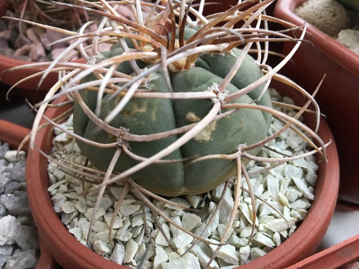 2017-02-25 09.07.37.jpg