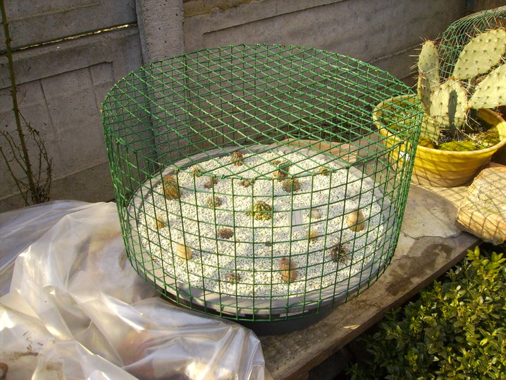 PICT0106.JPG