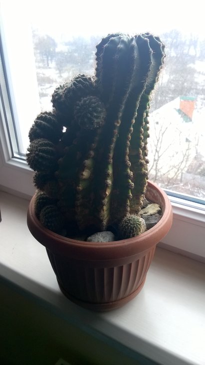 WP_20170320_10_43_32_Pro.jpg