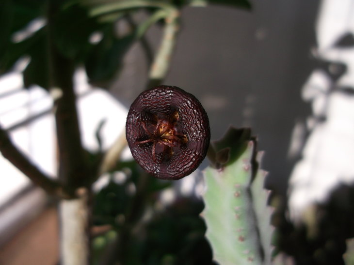 DSCF5138.JPG