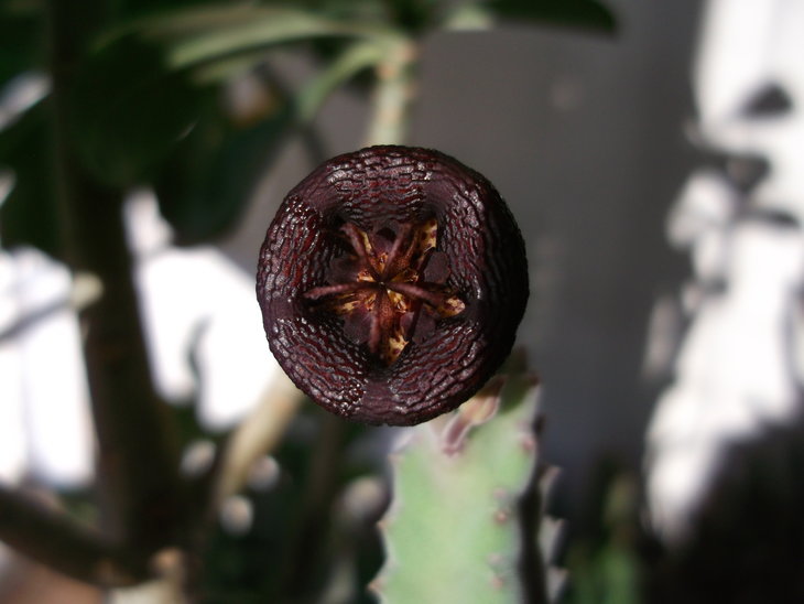 DSCF5139.JPG