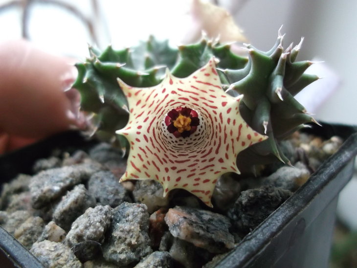 DSCF5120.JPG