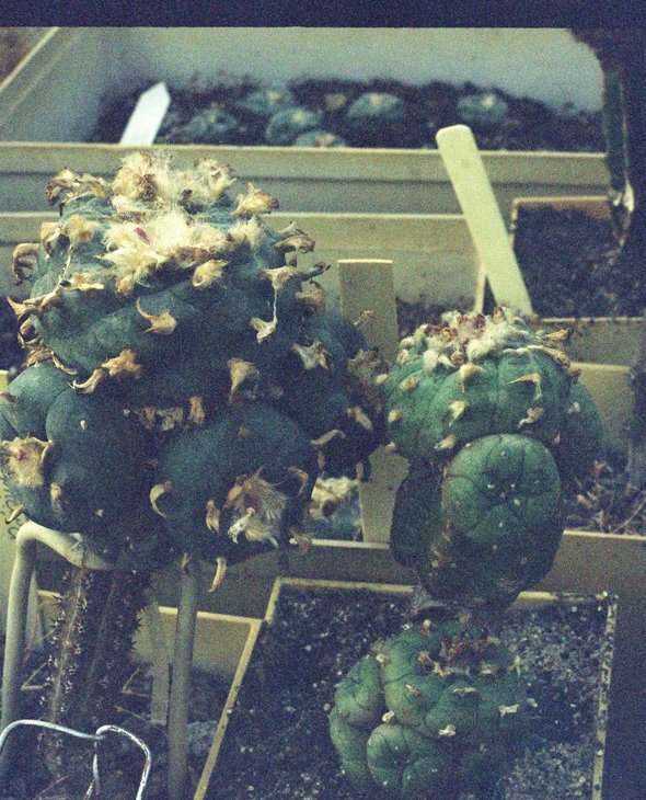 CNV000012 (2).JPG