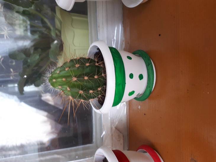 20170804_161352.jpg