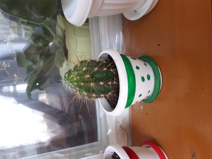 20170804_161347.jpg