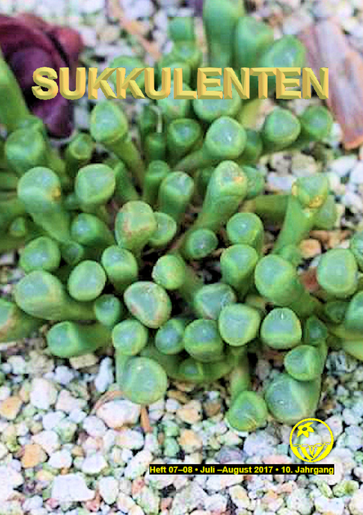 Sukkulenten.png