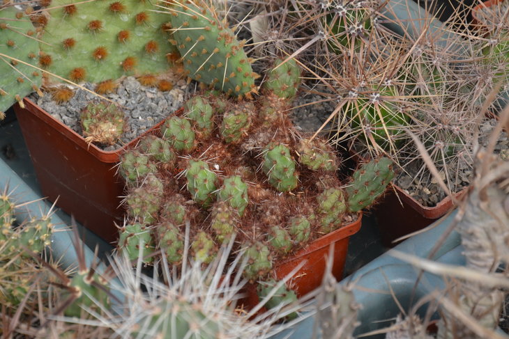 DSC_0117.JPG