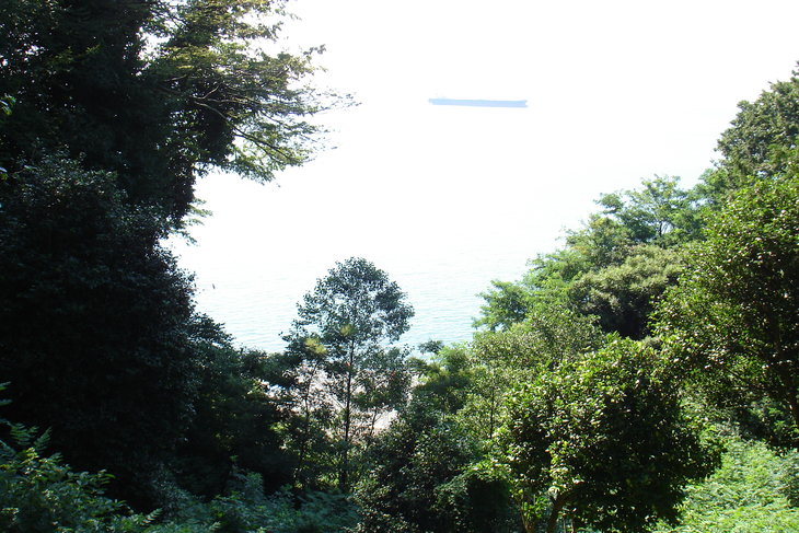 DSC00613.JPG
