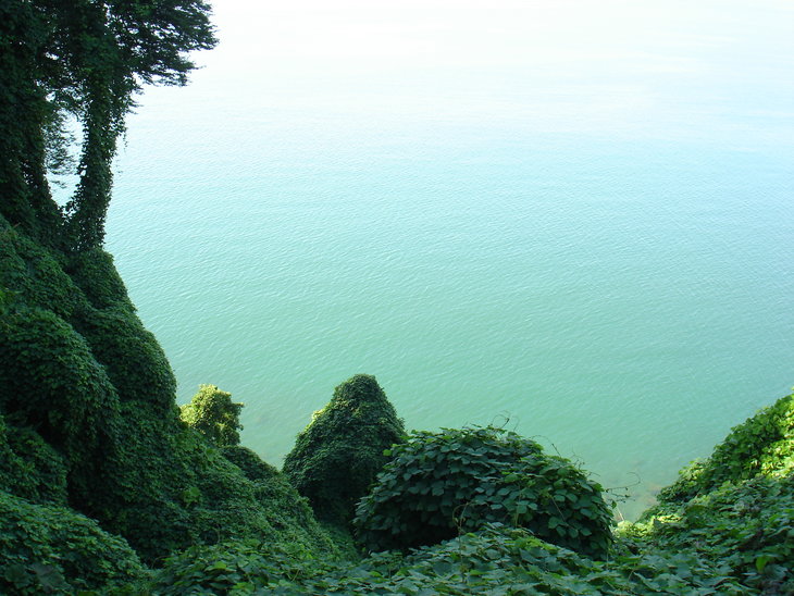 DSC00629.JPG