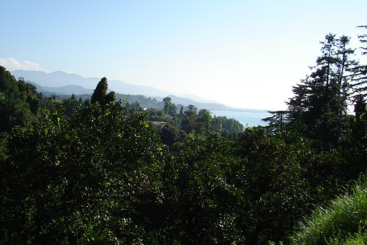 DSC00638.JPG