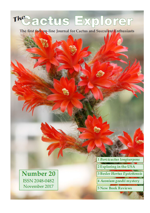 The_Cactus_Exprorer20.png