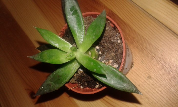 20171122_185856.jpg