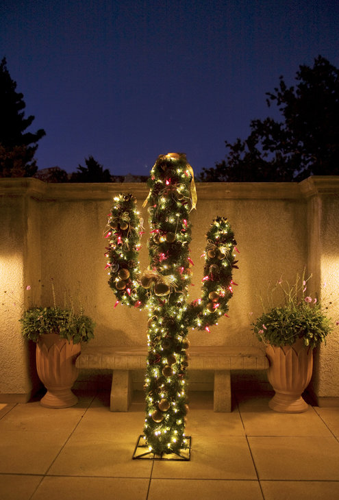 cactus-snow---.jpg