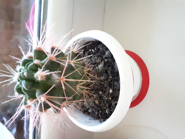 20180126_171213.jpg