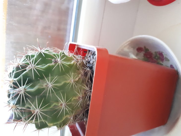 20180126_171207.jpg