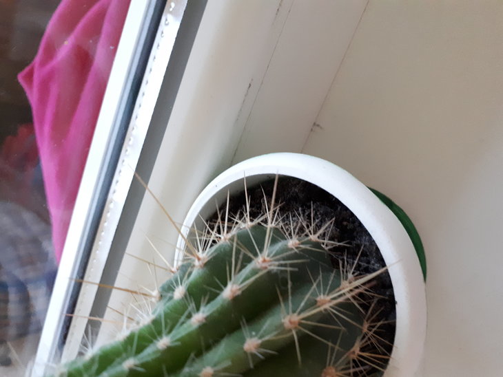 20180126_171218.jpg
