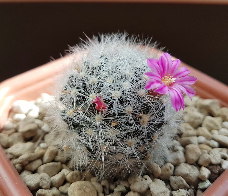 20180306_113940_1.jpg