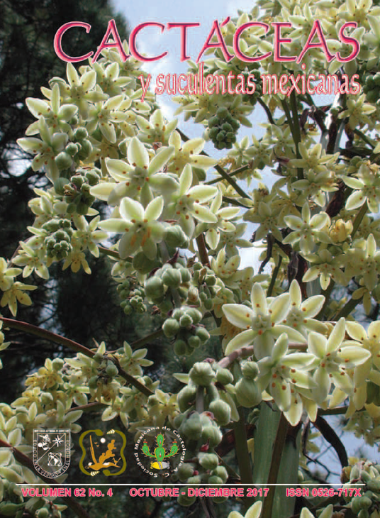 Cactaceas.png