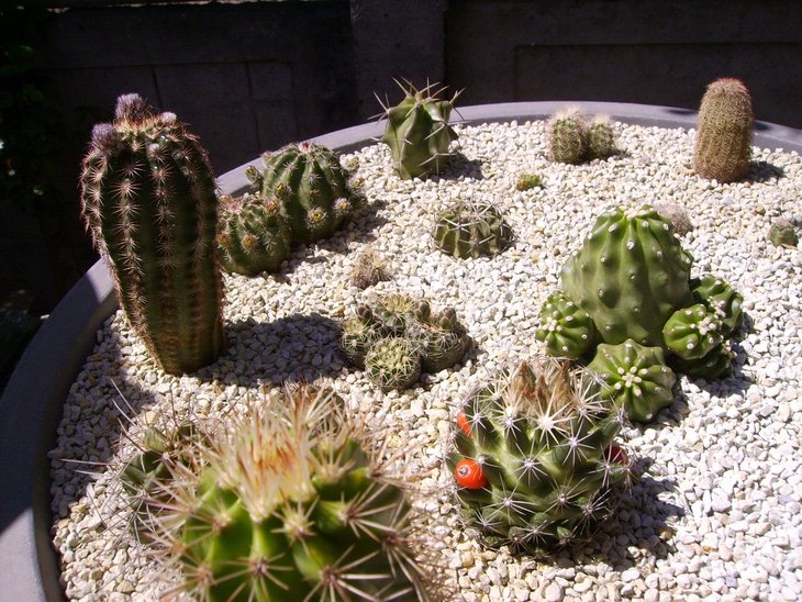PICT0058.JPG