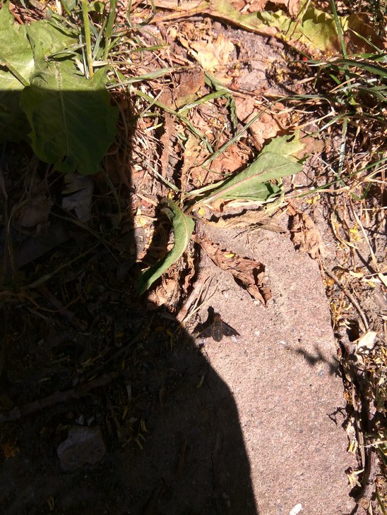 IMG_20180606_150958_HDR.jpg