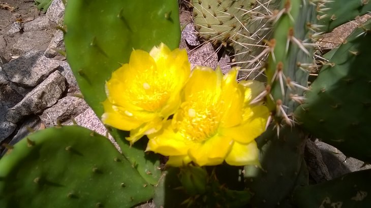WP_20180606_11_55_32_Pro.jpg