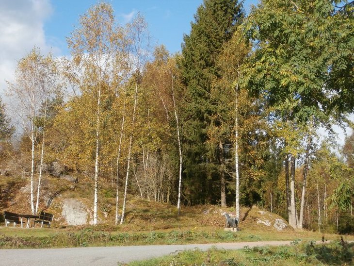 58.jpg