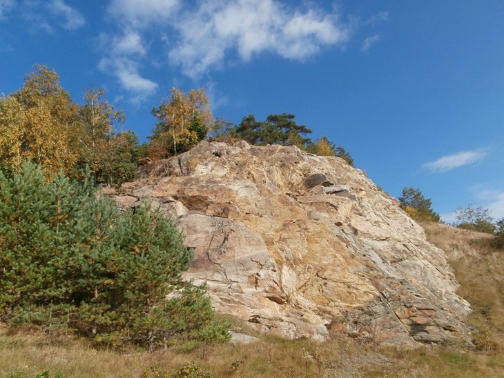 59.jpg