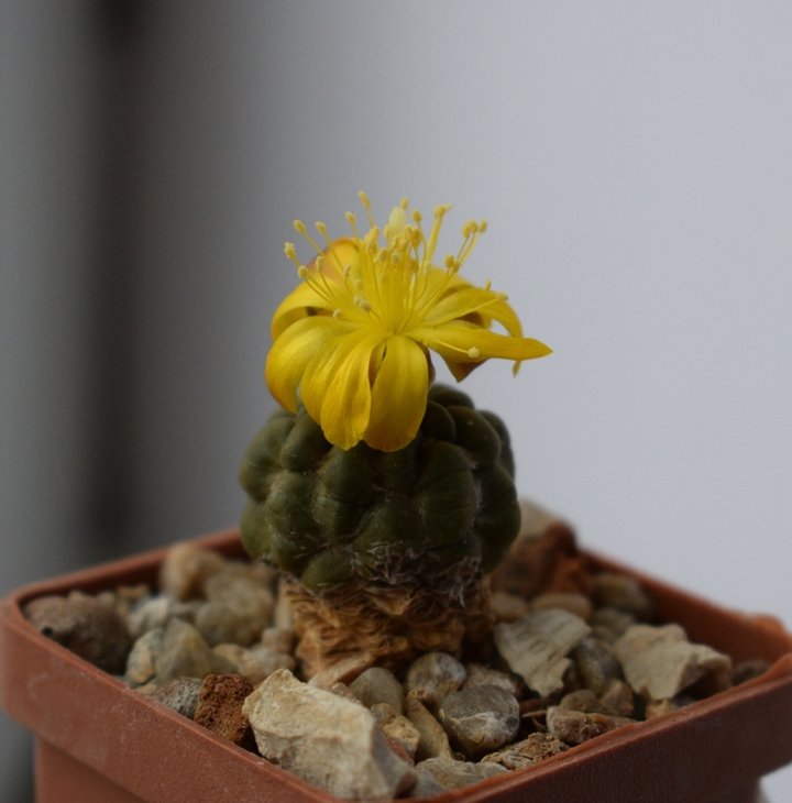 DSC_0061.JPG