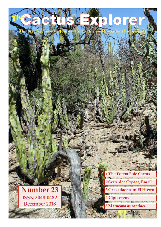 The_Cactus_Explorer23.png