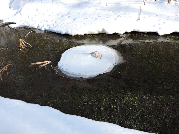 DSCN4838.jpg