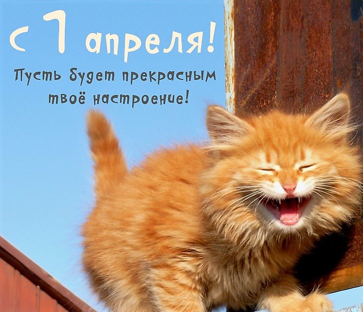 1 апреля.jpg
