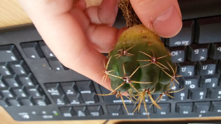 20190415_105138.jpg