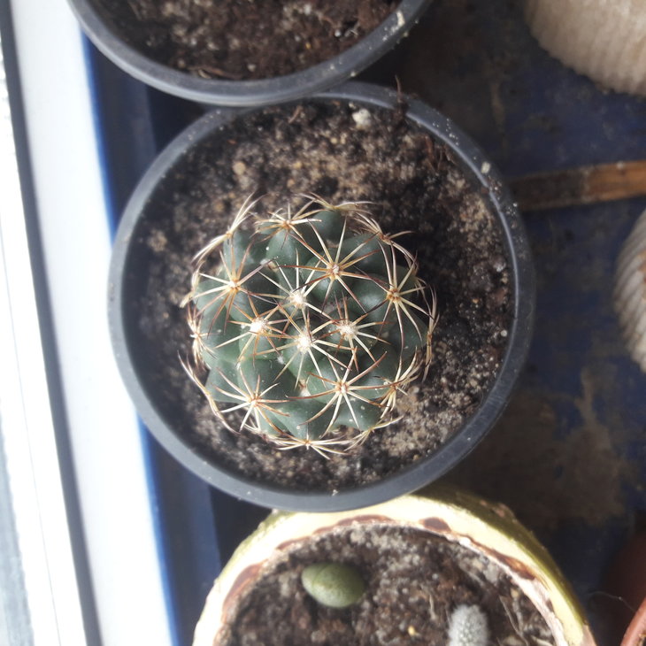 20190501_145853.jpg
