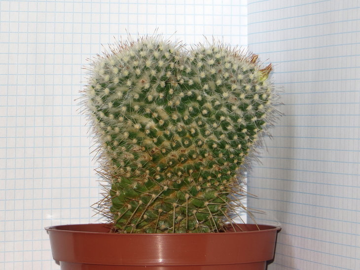 №2