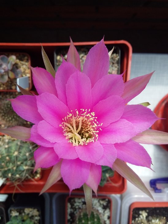 20190617_004.jpg