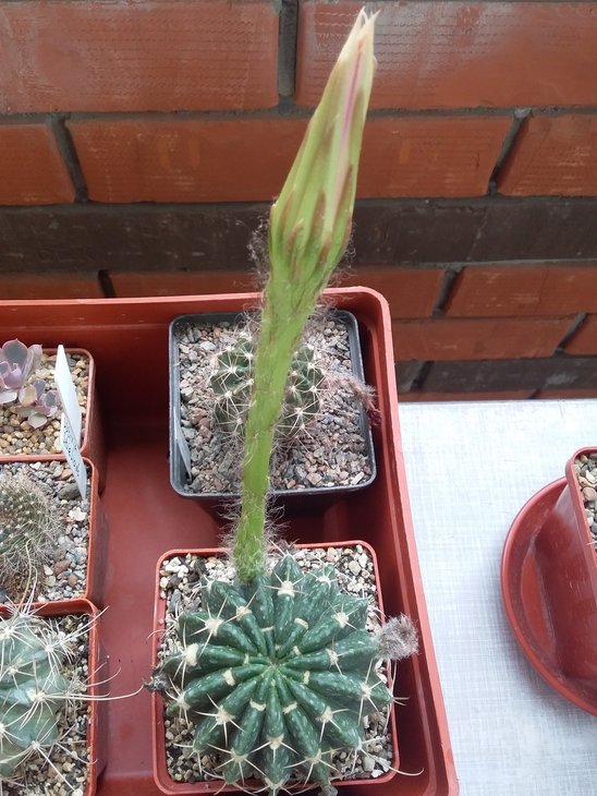 20190616_002.jpg
