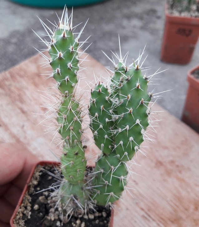 20190720_190749.jpg