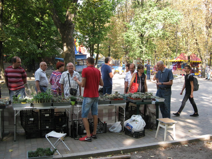 IMG_9385.JPG