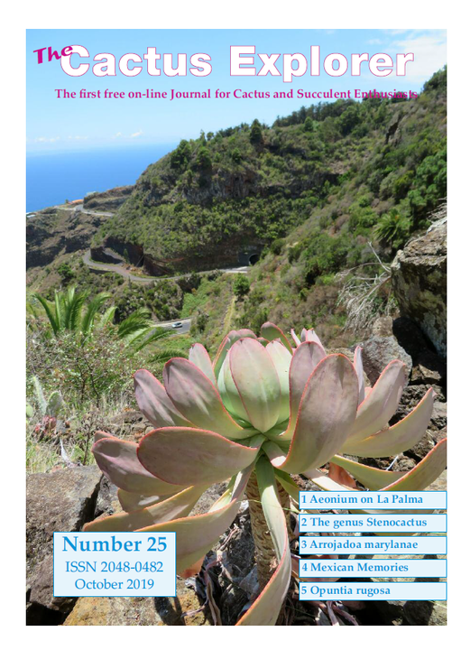 The_Cactus_Explorer25.png