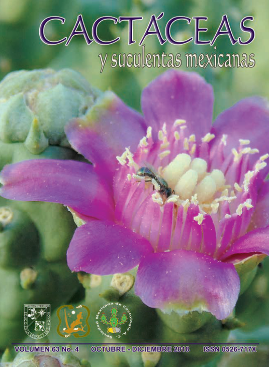 Cactaceas.png