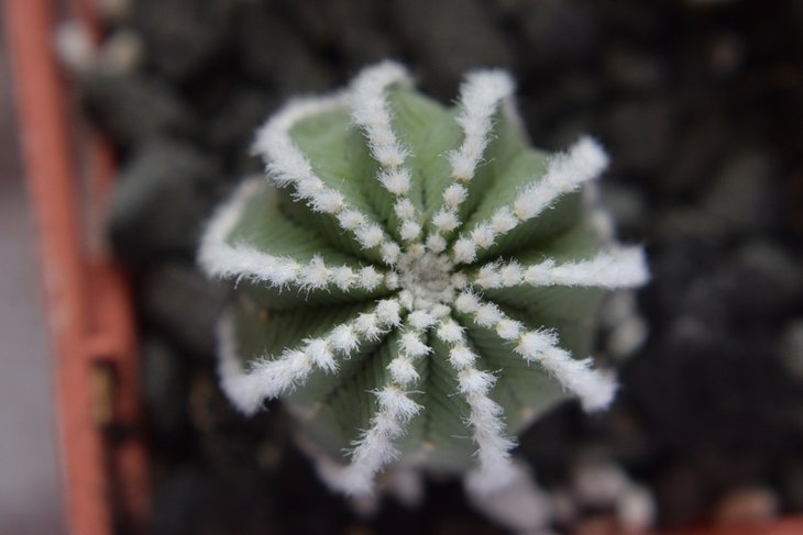 DSC_0014.JPG