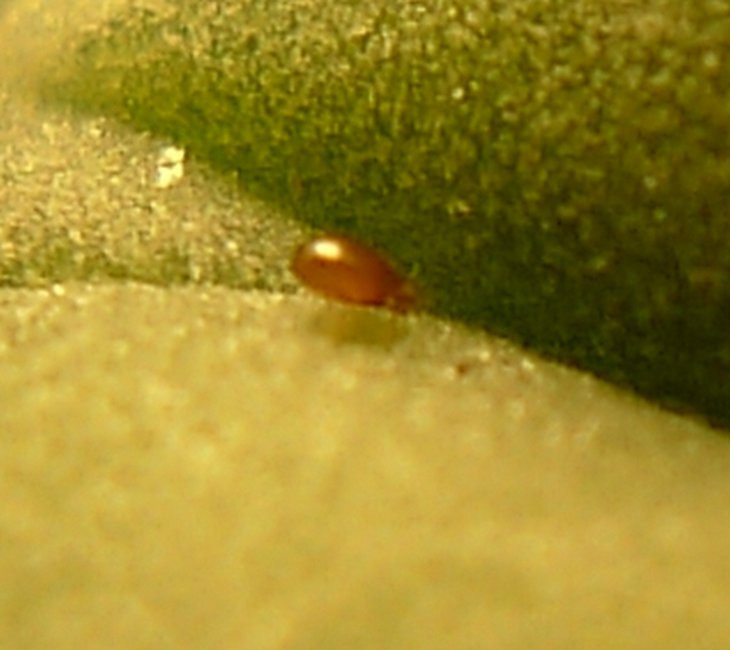 P2600290.JPG
